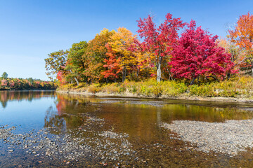 Fall foliage on the East Branch of the Penobscot River in Maine.