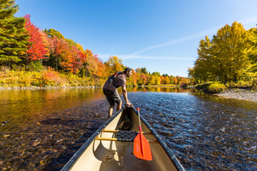 A man pulls a canoe through shallow water on a Maine river in fall.