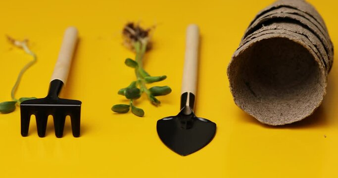 Rotation Peat Pots, Gardening Tools And Greens On Yellow Background, Spring Garden Works Concept