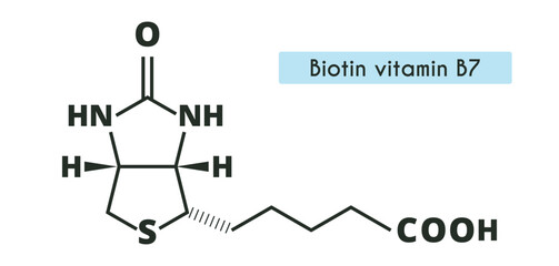 Vitamin B7, biotin molecule. Skeletal formula.