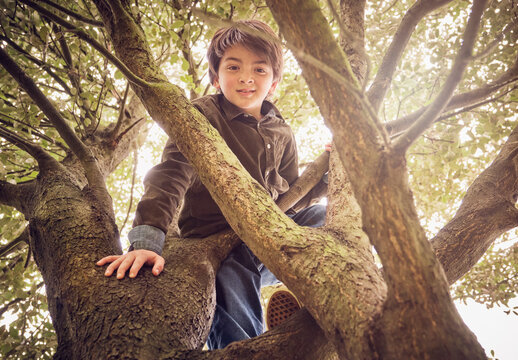 Carefree boy climbing on tree at park