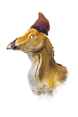 The head of  Olorotitan , dinosaur on  isolated background  .