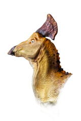 The head of  Olorotitan , dinosaur on  isolated background  .