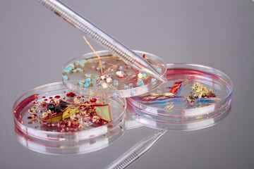 Petri dishes with herbs and glass pipette. Biological research concept.