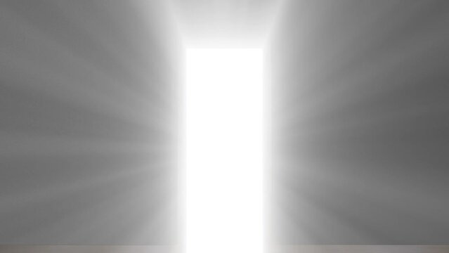Door opens and lights up everything white