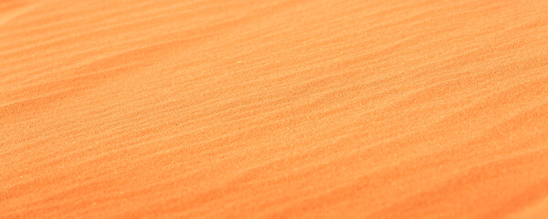 Golden desert sand sunset banner background