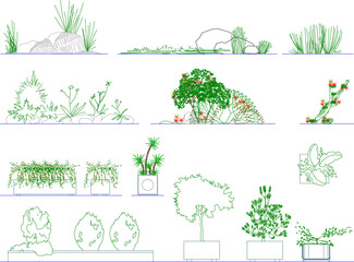 colour Set of sketched vector detailed illustrations of plants for the garden