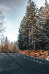 Route du lac de Gerardmer, Vosges France