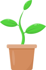 plant in a pot png