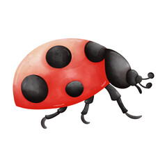Watercolor single ladybug insect animal, Spring Season illustration Element