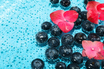 Blueberry with flowers in water, concept of freshness