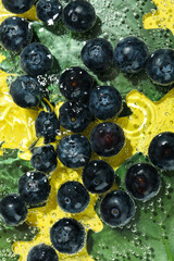 Blueberry and tropical leaves in water, close up