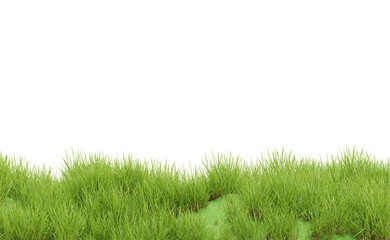 Obraz na płótnie Canvas Grass plant on transparent background, nature meadow, 3d render illustration.