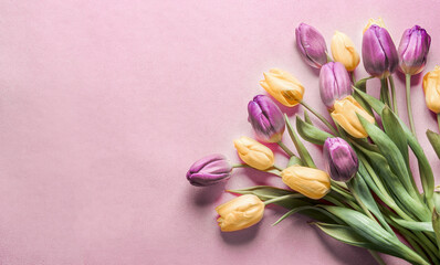 Purple and yellow tulips bunch at pink background, top view, border. Springtime flowers
