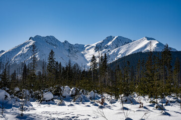 View of the Tatra Mountains in winter from Rusinowa Polana. Sunny weather during a hike in the mountains. © Tomasz