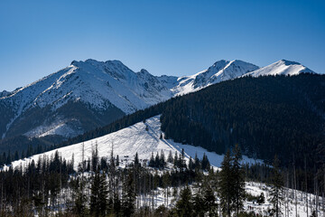 View of the Tatra Mountains in winter from Rusinowa Polana. Sunny weather during a hike in the mountains. © Tomasz