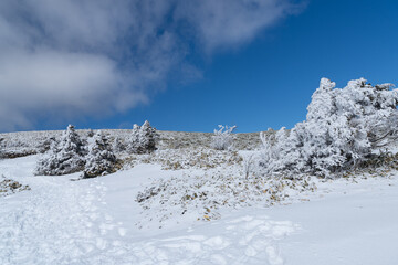 雪景色の富士見台高原