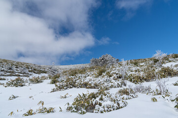 雪景色の富士見台高原