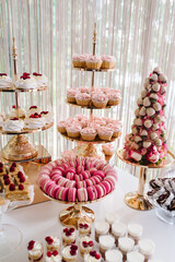 Sweet table. A plates of cakes and muffins with cream with berries. Table with sweets, candy, buffet. Dessert table for a party goodies. Close up. party reception, decorated in restaurant. candy bar.