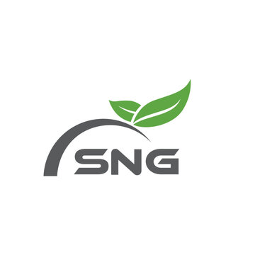 SNG letter nature logo design on white background. SNG creative initials letter leaf logo concept. SNG letter design.
