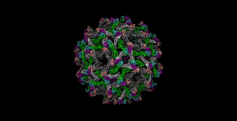 Immature Zika virus particle 3D molecule 4K