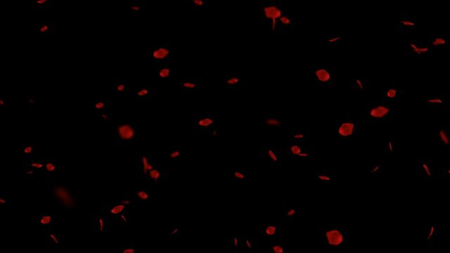 Red rose petals flying from the lower left corner