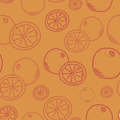 Seamless vector pattern with orange. Fruit sketch of oranges on an orange background in doodle style. Botanical drawing for 
printing on textiles, gift paper, banners, menus. Collection of oranges.