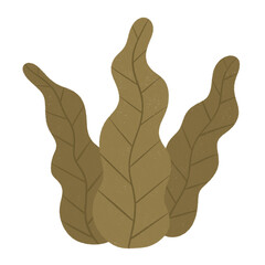 seaweed ocean coral reef plants icon.