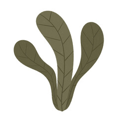 seaweed ocean coral reef plants icon.