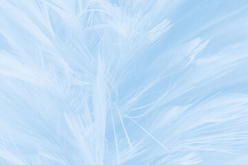 Beautiful pastel blue white color trends feather pattern texture background