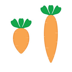 Carrot Icon Isolated On White Background. Vector Illustration