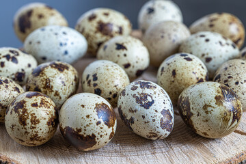 Obraz premium Easter quail eggs. Spring background with small easter quail eggs. Vintage photo processing