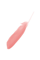 coral pink feather on white background