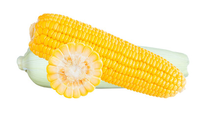 Sweet corn isolated on white background with clipping path