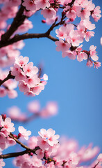 Fleurs de cerisier par IA générative