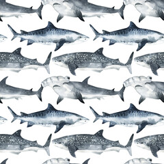 watercolor shark pattern isolated on white background.watercolor whale pattern cute ocean animal. Watercolor cute SHARK pattern. Hand painting postcard with SHARK isolated white background.