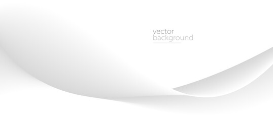 Fototapeta premium Smooth flow of wavy shape with gradient vector abstract background, light grey design curve line energy motion, relaxing image or technology.