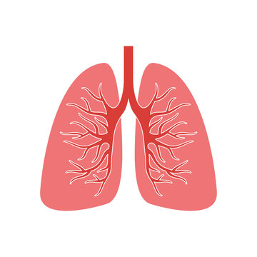 Human Lungs icon isolated on transparent background