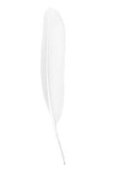 white feather isolated on white  background