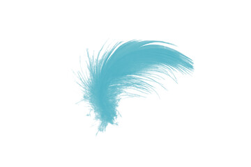 Obraz premium feather color turquoise emerald green isolated on white background