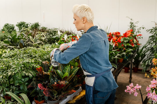 Concept of gardening and floristics. Florist work in home garden.