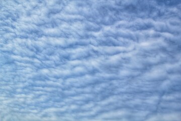 White light soft clouds floating in blue sky. Nature morning landscape background. Clear spring wind. Bright summer day. Winter calm air skyscape. Abstract panorama. Change climate. Low angle view