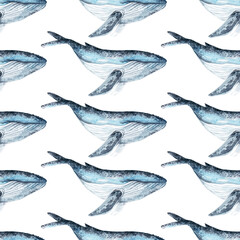 watercolor whale pattern cute ocean animal. Watercolor cute whale pattern. Hand painting postcard with whale isolated white background. Ocean animals.