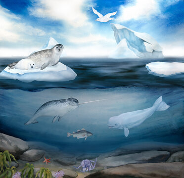 watercolor illustration of north sea landscape and underwater world, blue sky, iceberg, narwhal, seal, seagulls, white wale, cod fish, crab, starfish