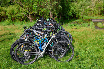Fototapeta premium Many bicycles stand in a row near a tree in the forest. Mountain bike parked in a forest clearing outside the city