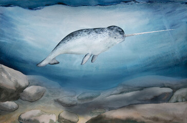 watercolor illustration of north sea landscape, underwater world, narwhal