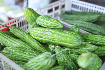 Fresh bitter melon on basket 