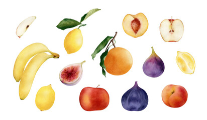 Watecolor hand-drawn fruit set illustrations. Citrus, tropical fruit collection icons. Vegetarian organic food art. Painted cooking ingredients isolated on transparent background. Harvest season 