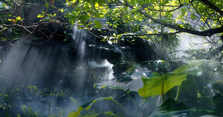 Naklejka premium The Tropical jungle with river and sun beam and foggy in the garden.