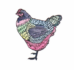 Hand drawn illustration of hen and chicken.